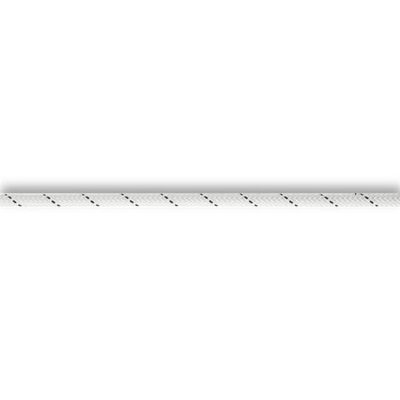 Segment 8mm.